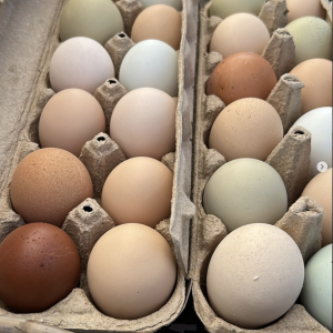 farm fresh eggs, a variety of colors, in cardboard cartons