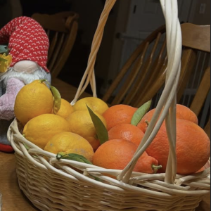 a basket sitting on a table full of Meyer lemons and tangelos.