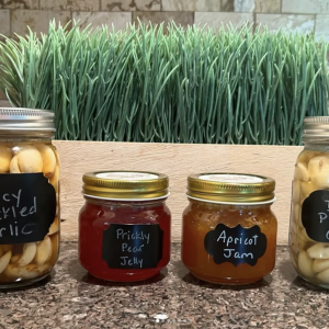 A photo of four jars of product: dill pickled garlic, spicy pickled garlic, apricot jam, and prickly pear jelly