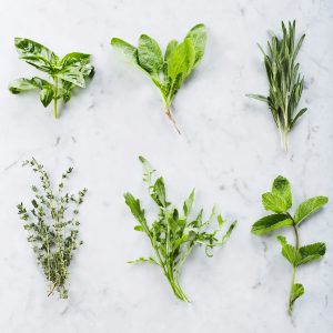 stock photo of six herbs on a marble counter. Photo by Electra Studio, Pexels.com
